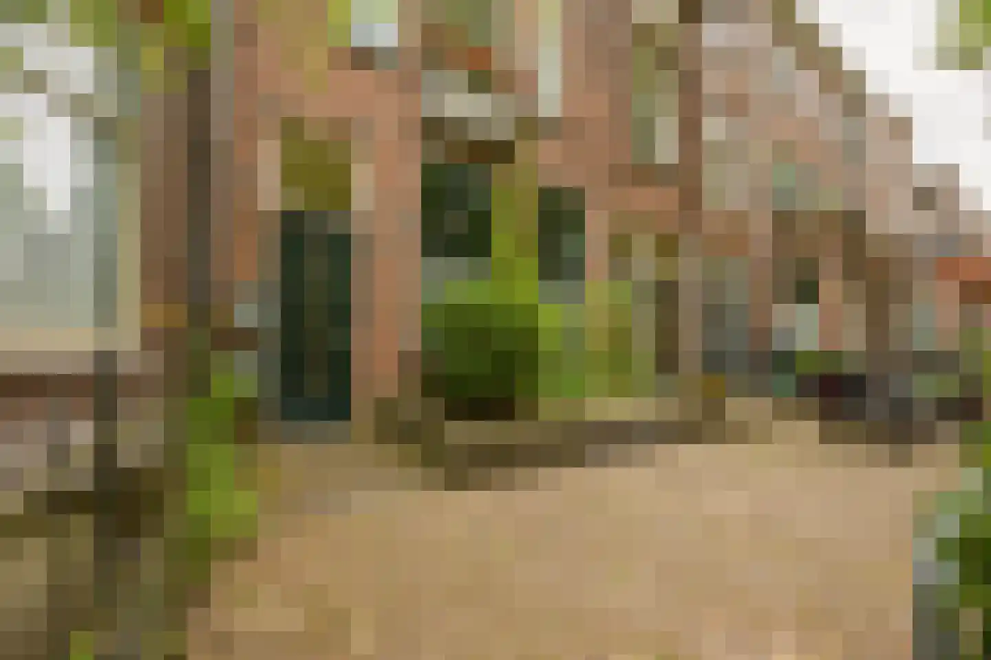 Johannes Vijghstraat 49 A Nijmegen thumbnail 21