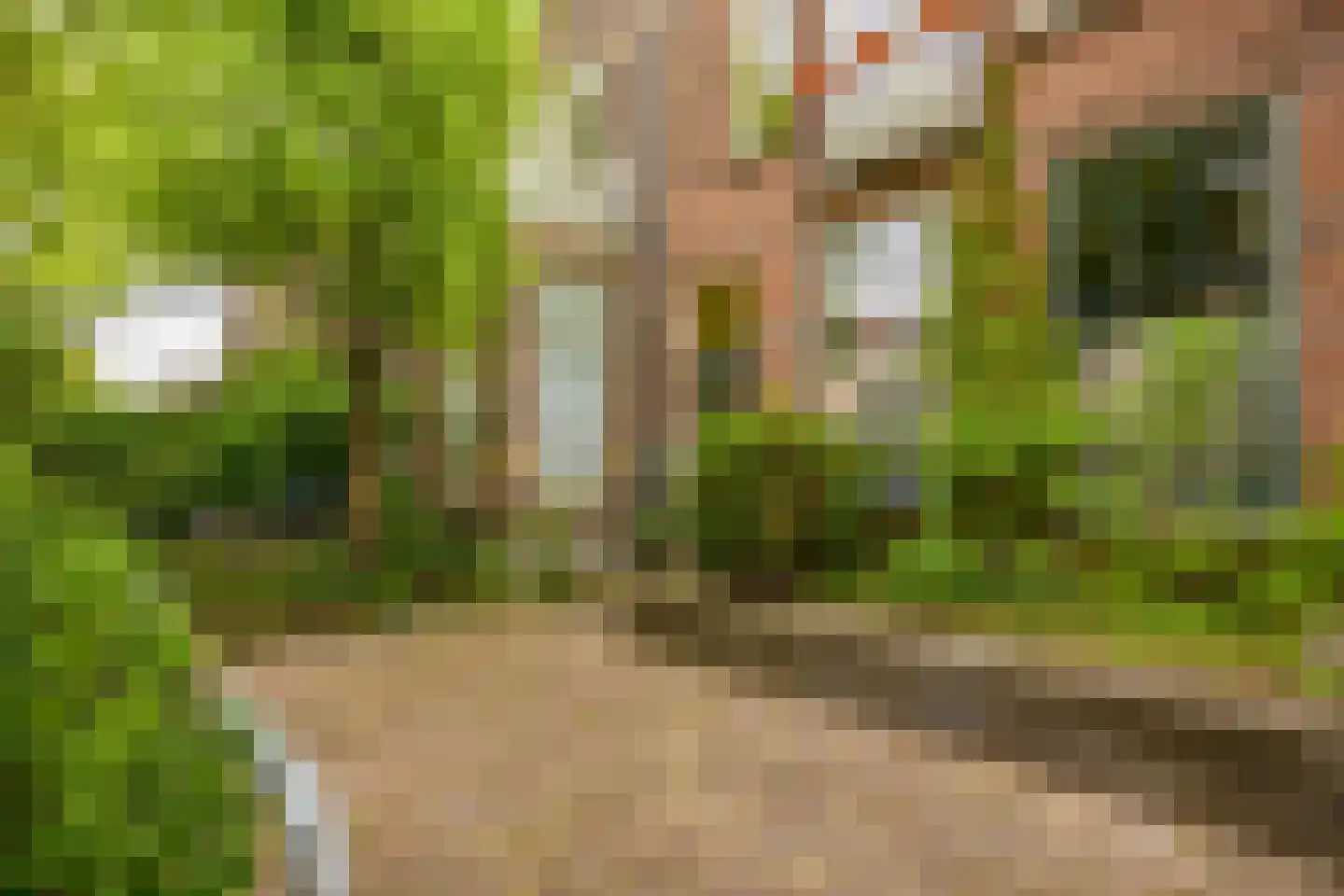 Johannes Vijghstraat 49 A Nijmegen thumbnail 4