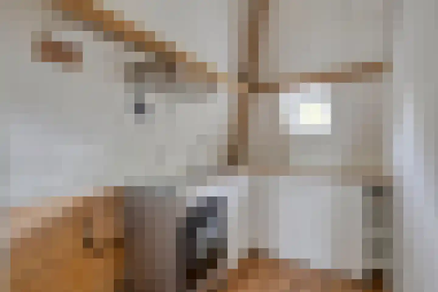 Johannes Vijghstraat 6 Nijmegen thumbnail 4