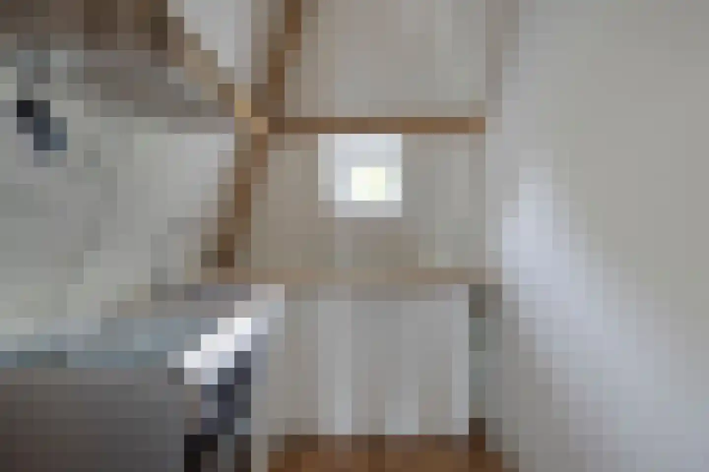Johannes Vijghstraat 6 Nijmegen thumbnail 5