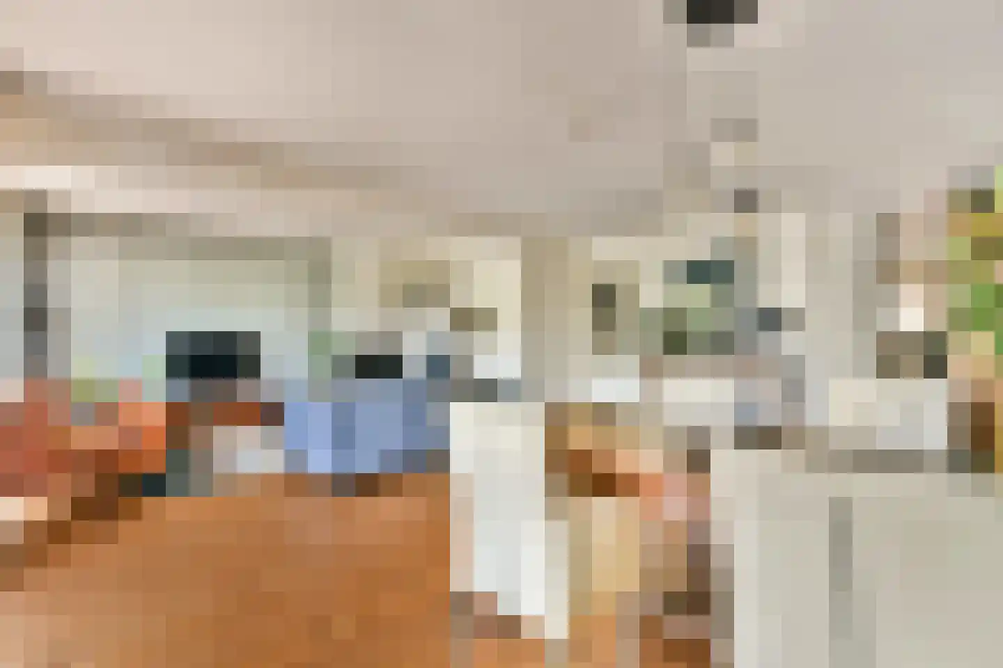 Johannes Voorhoevestraat 38 Rotterdam thumbnail 11