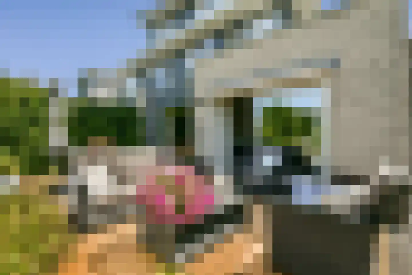 Johannes Voorhoevestraat 38 Rotterdam thumbnail 17