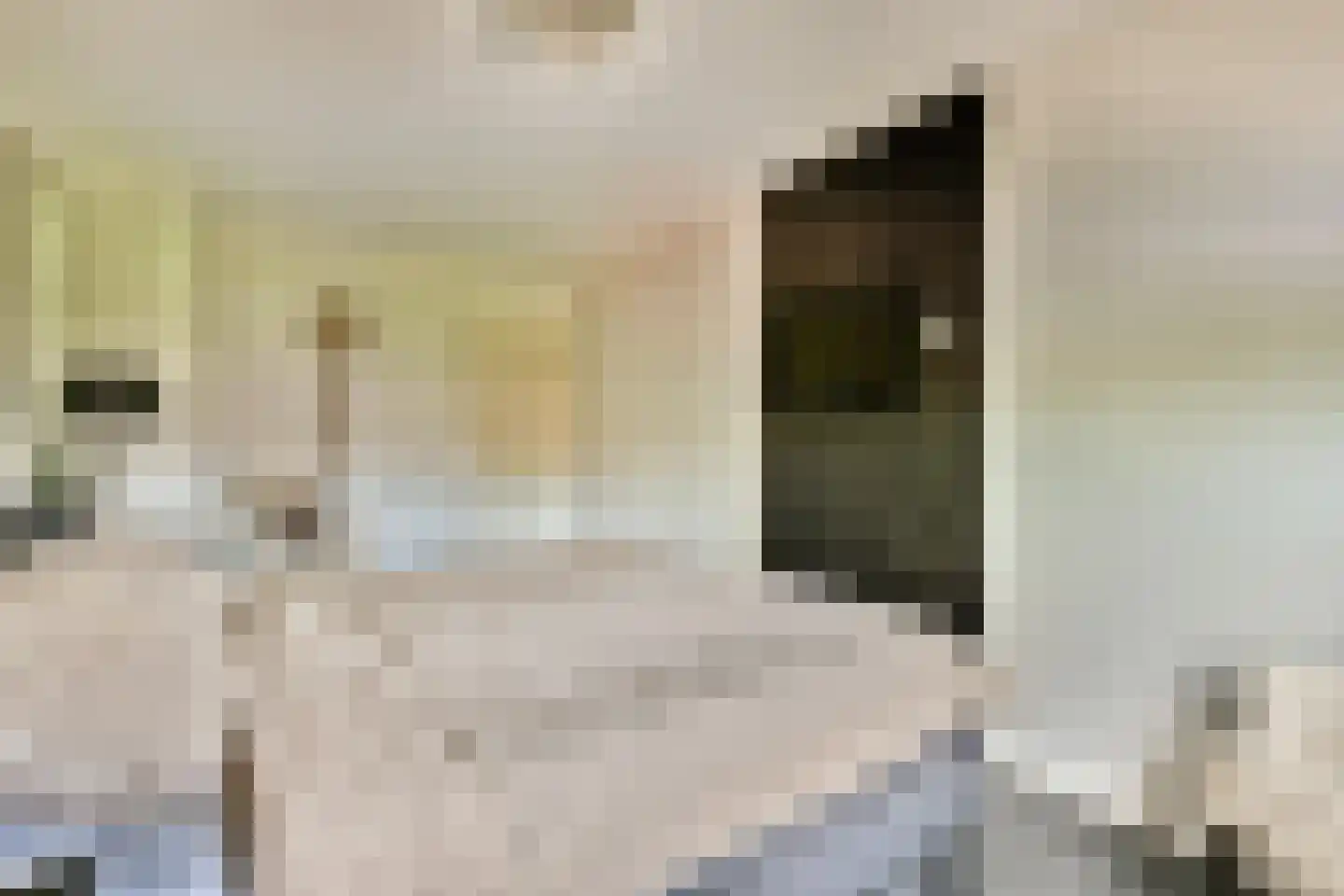 Johannes Voorhoevestraat 38 Rotterdam thumbnail 19