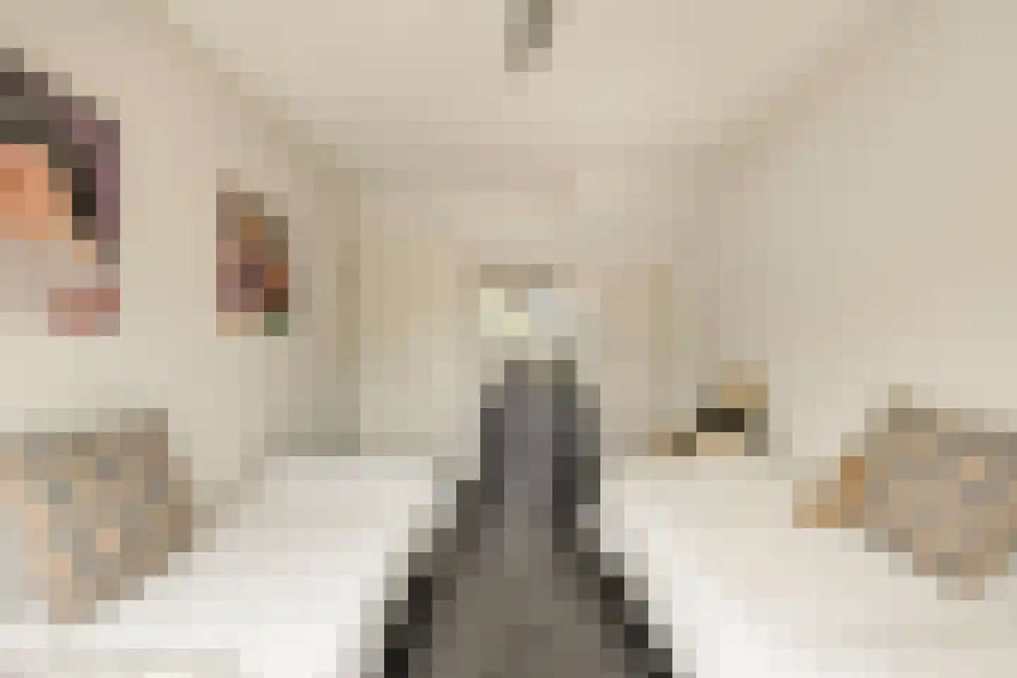 Johannes Voorhoevestraat 38 Rotterdam thumbnail 23