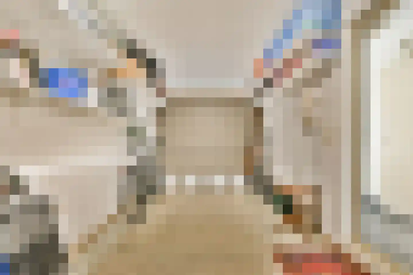 Johannes Voorhoevestraat 38 Rotterdam thumbnail 30
