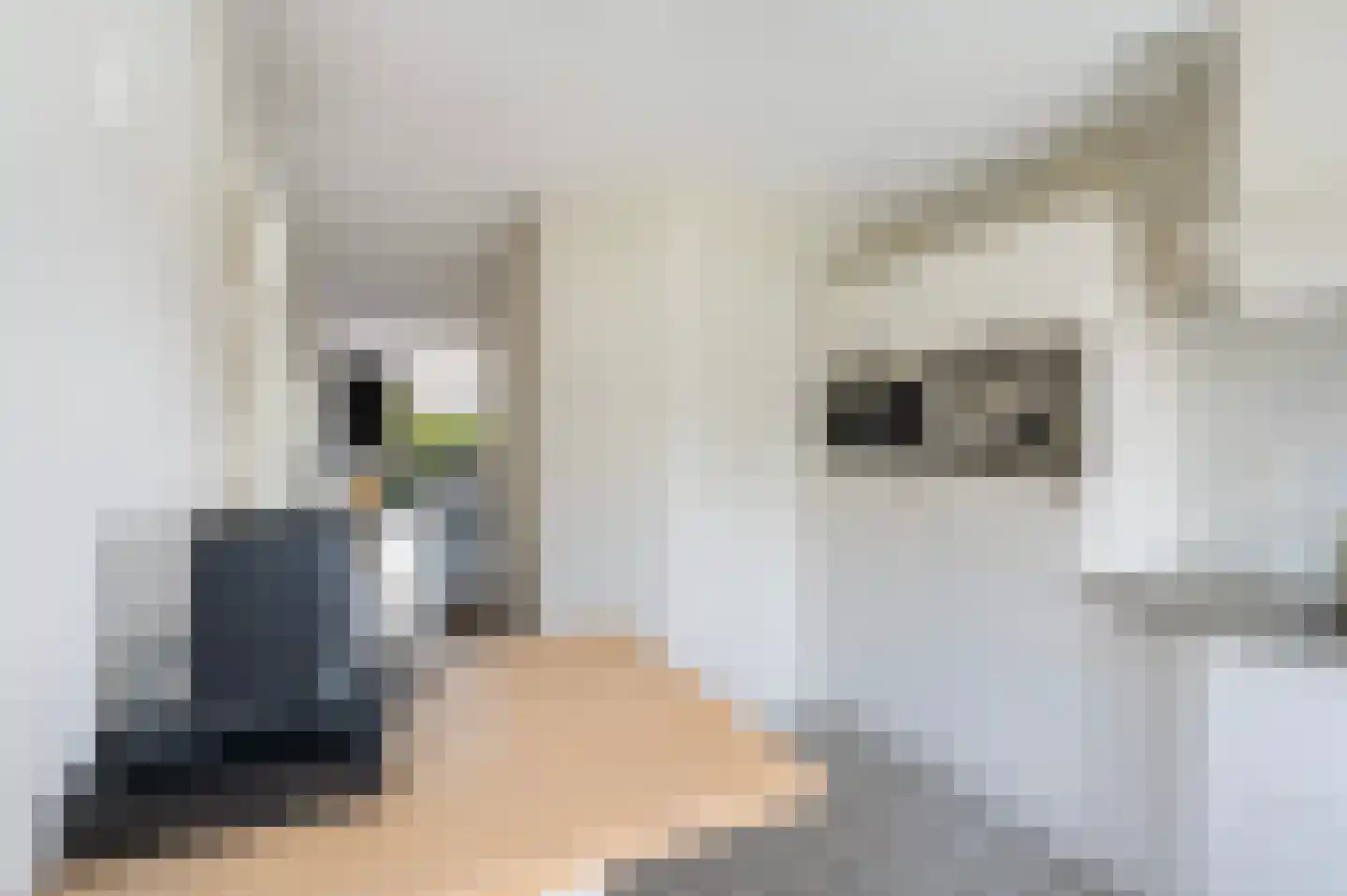 Johannes Voorhoevestraat 47 Rotterdam thumbnail 22