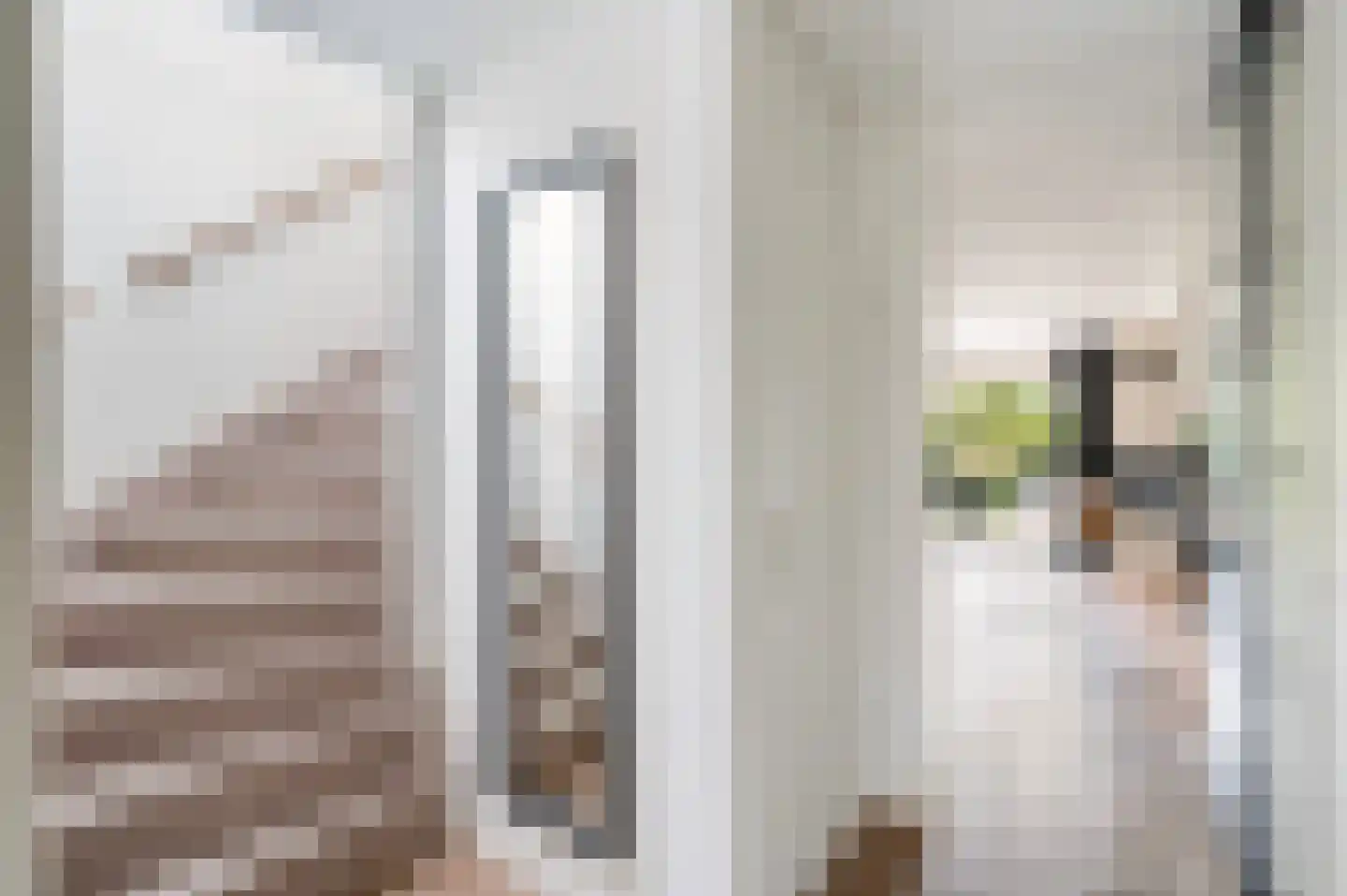 Johannes Voorhoevestraat 47 Rotterdam thumbnail 34