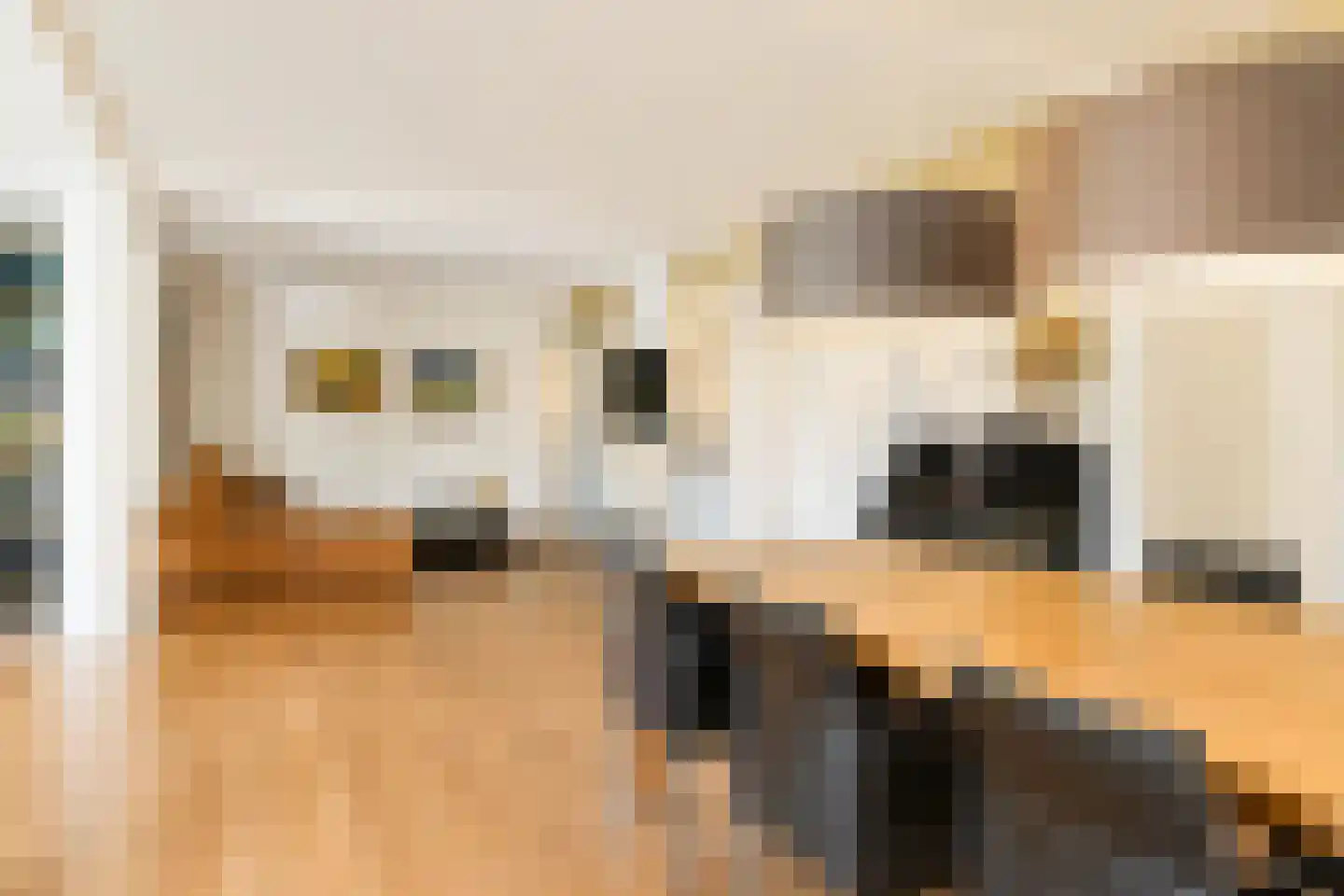 Johannes Voorhoevestraat 54 Rotterdam thumbnail 10