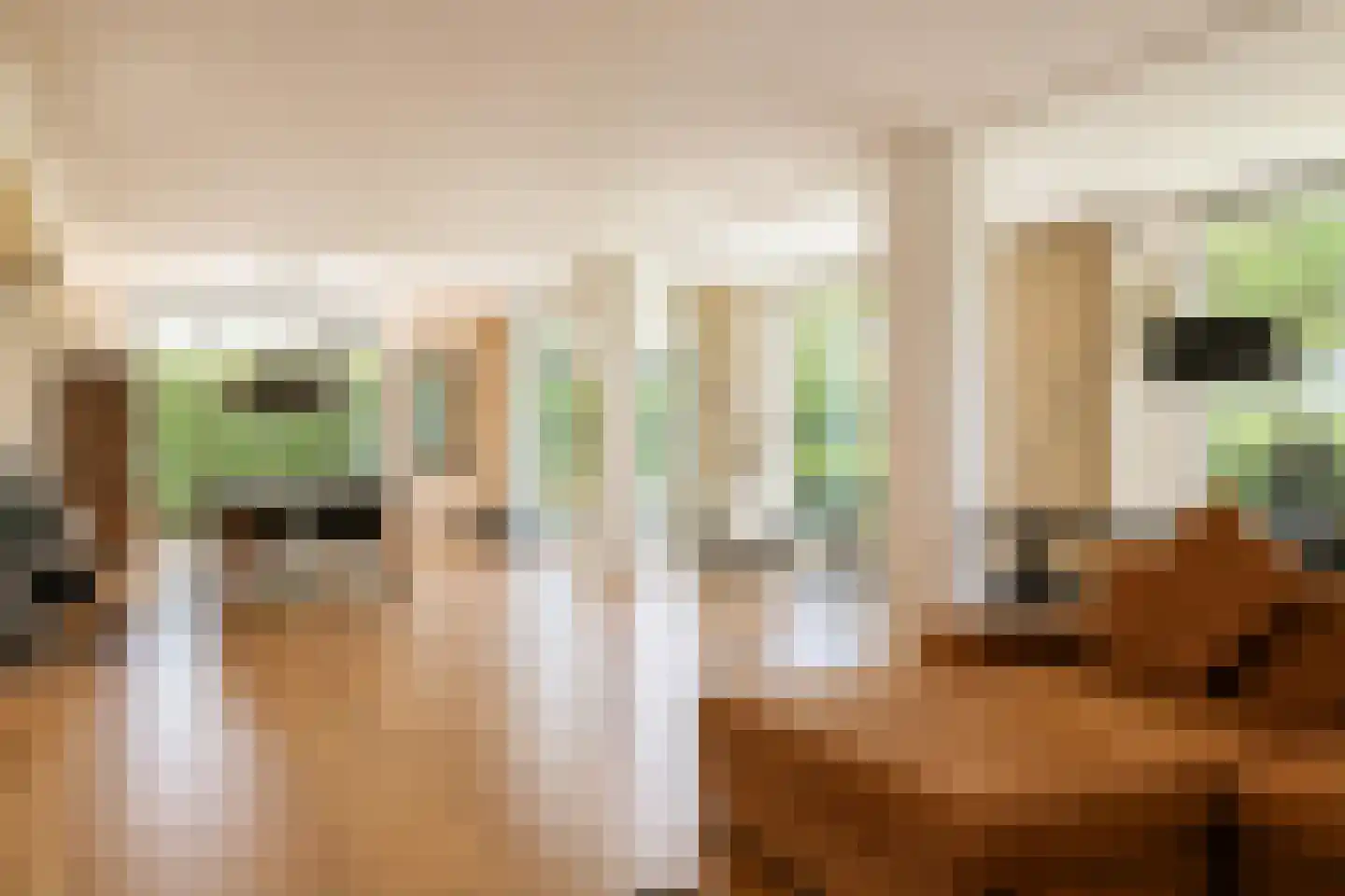 Johannes Voorhoevestraat 54 Rotterdam thumbnail 14