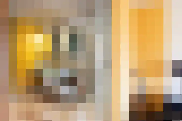 Johannes Voorhoevestraat 54 Rotterdam thumbnail 15