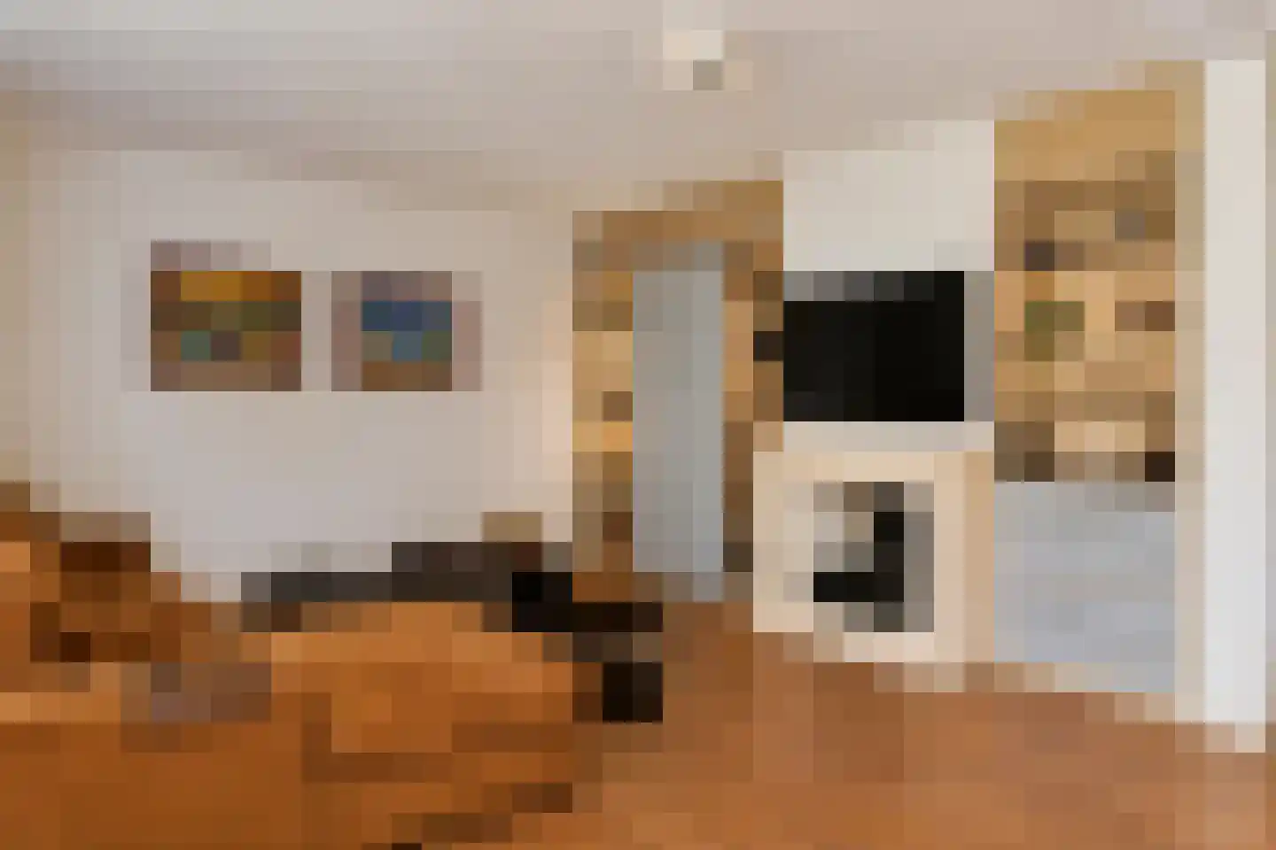 Johannes Voorhoevestraat 54 Rotterdam thumbnail 16