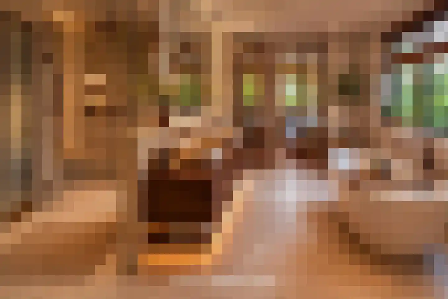 Johannes Voorhoevestraat 54 Rotterdam thumbnail 37