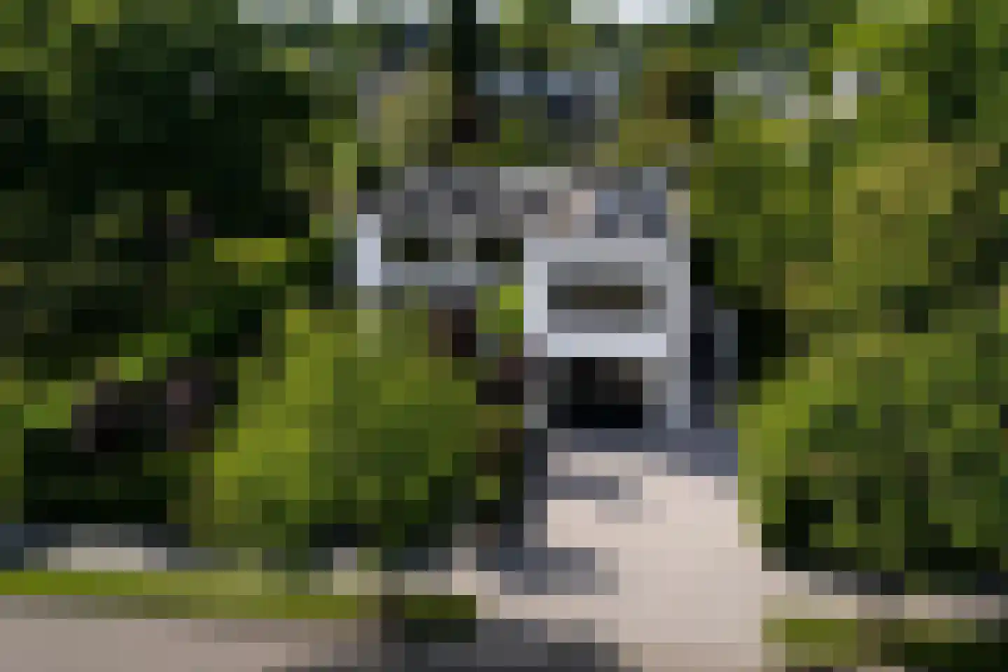 Johannes Voorhoevestraat 54 Rotterdam thumbnail 39
