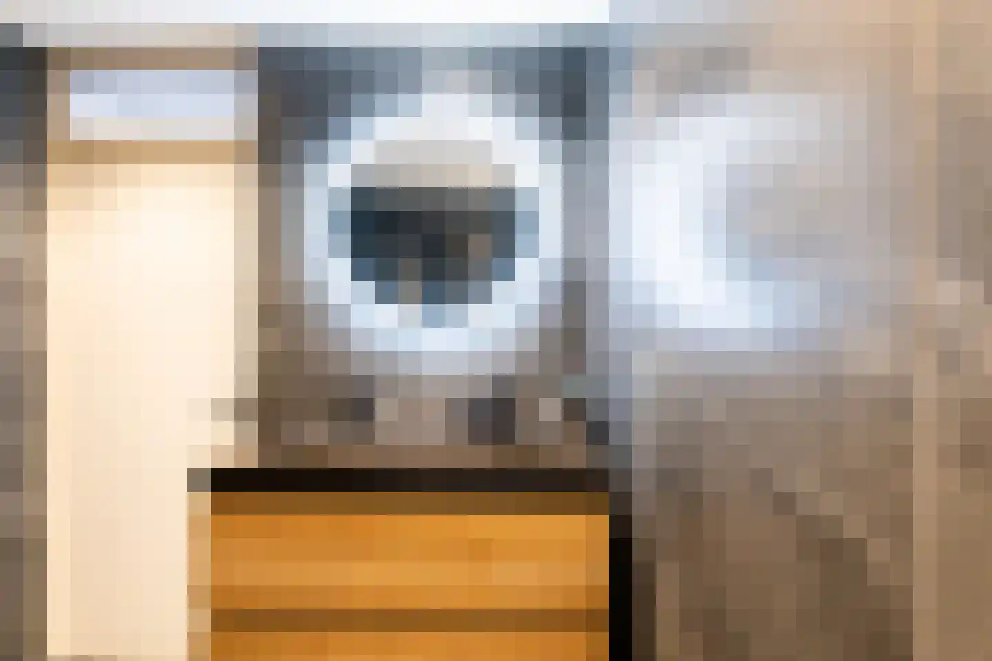 Johannes Wierlaan 14 Den Dolder thumbnail 19