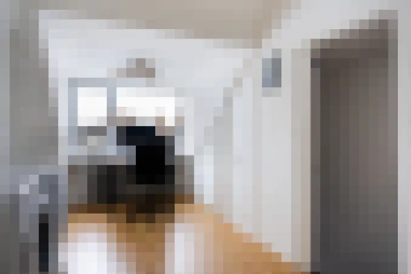 Johannes Wierlaan 14 Den Dolder thumbnail 20