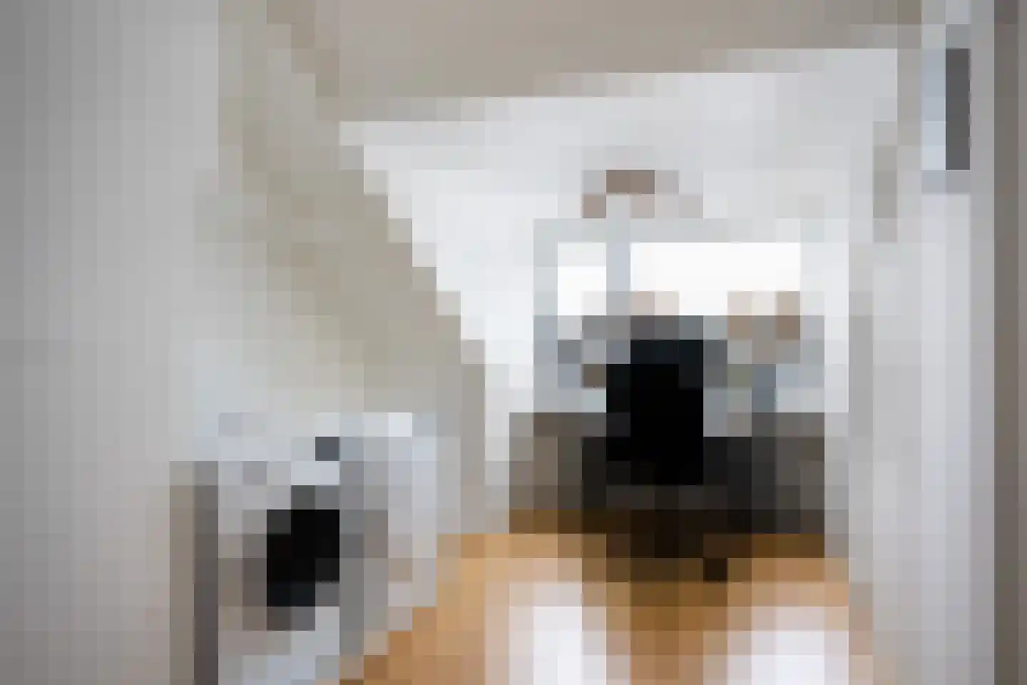 Johannes Wierlaan 14 Den Dolder thumbnail 21