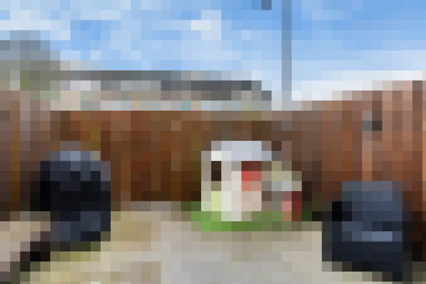 Johannes Wierlaan 14 Den Dolder thumbnail 25