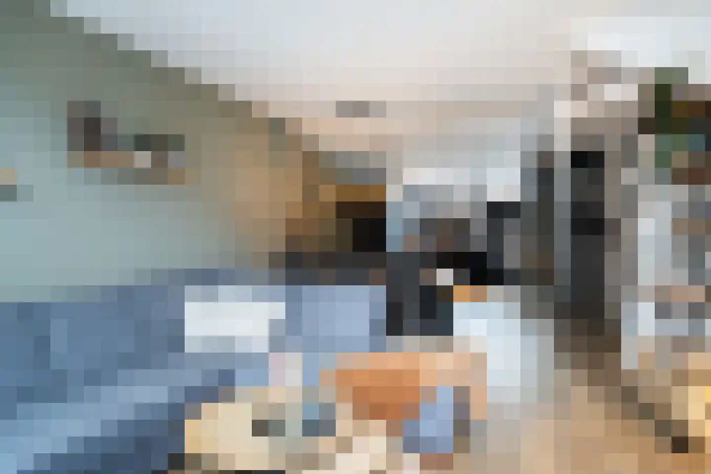 Johannes Wierlaan 14 Den Dolder thumbnail 9