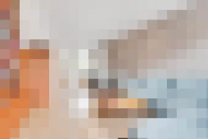 Johannes Wierlaan 32 Den Dolder thumbnail 11