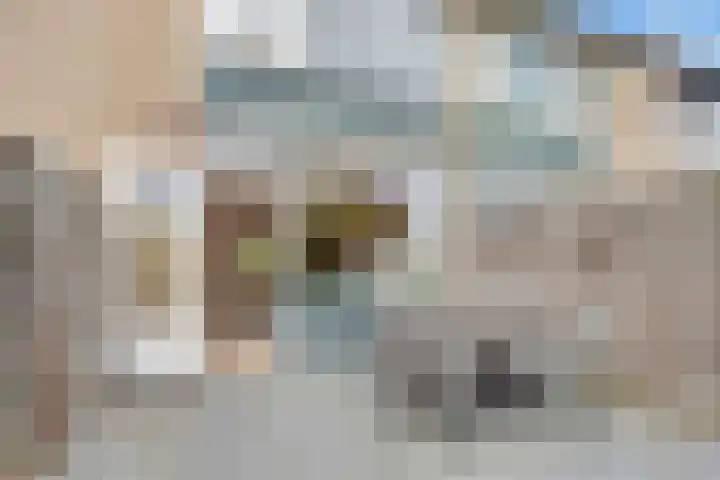 Johannes Wierlaan 32 Den Dolder thumbnail 13