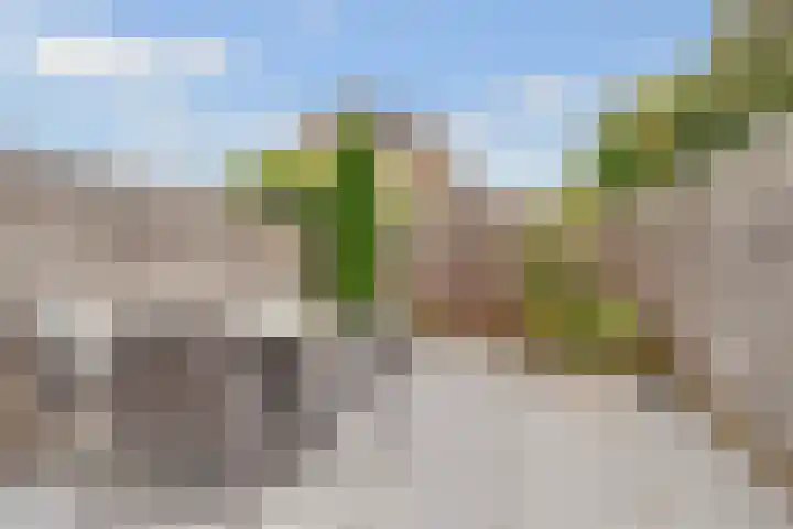 Johannes Wierlaan 32 Den Dolder thumbnail 14