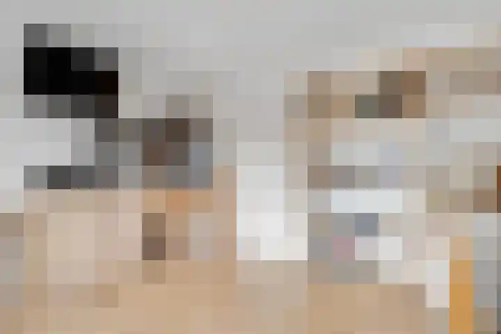 Johannes Wierlaan 32 Den Dolder thumbnail 20