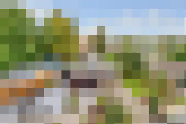 Johannes Wierlaan 32 Den Dolder thumbnail 27
