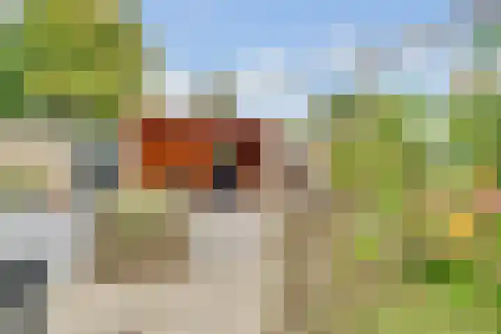 Johannes Wierlaan 32 Den Dolder thumbnail 28