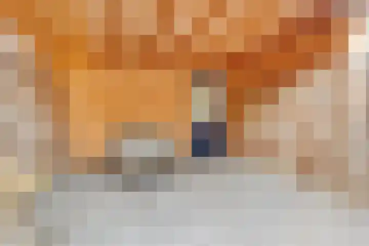 Johannes Wierlaan 32 Den Dolder thumbnail 30