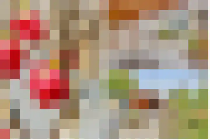 Johannes Wierlaan 32 Den Dolder thumbnail 31