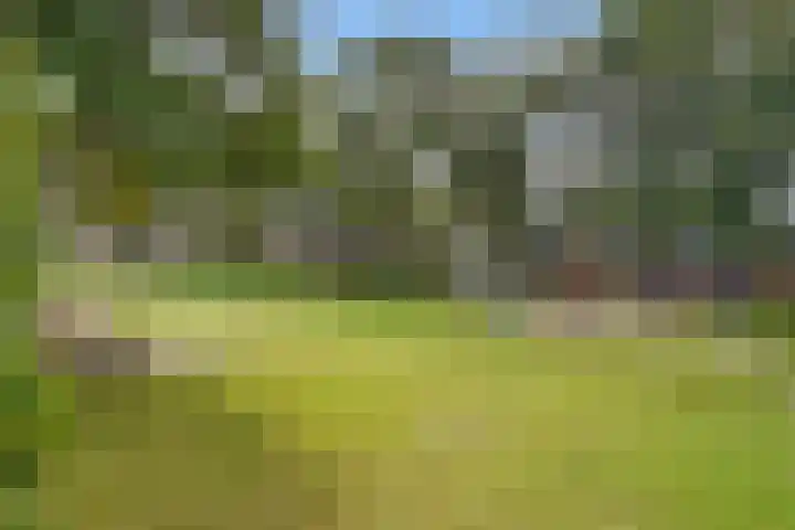 Johannes Wierlaan 32 Den Dolder thumbnail 37
