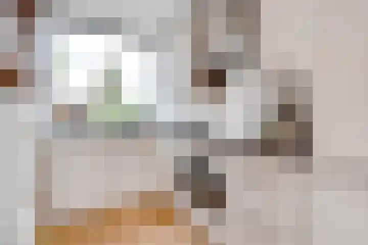 Johannes Wierlaan 32 Den Dolder thumbnail 8