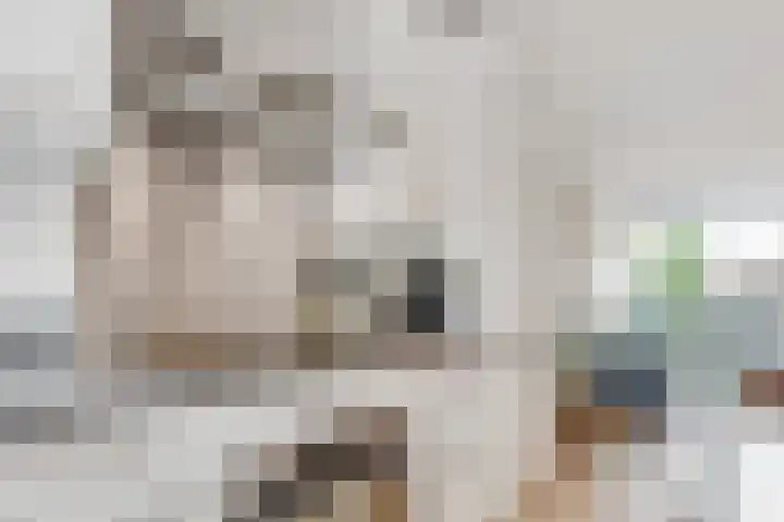 Johannes Wierlaan 32 Den Dolder thumbnail 9