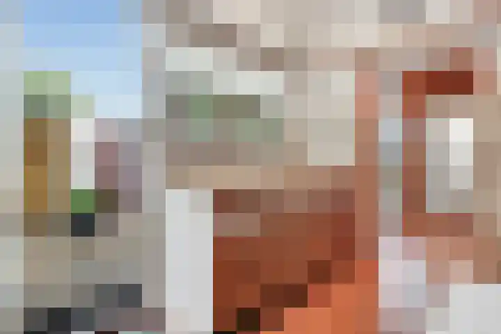 Johannes Wierlaan 74 Den Dolder thumbnail 11