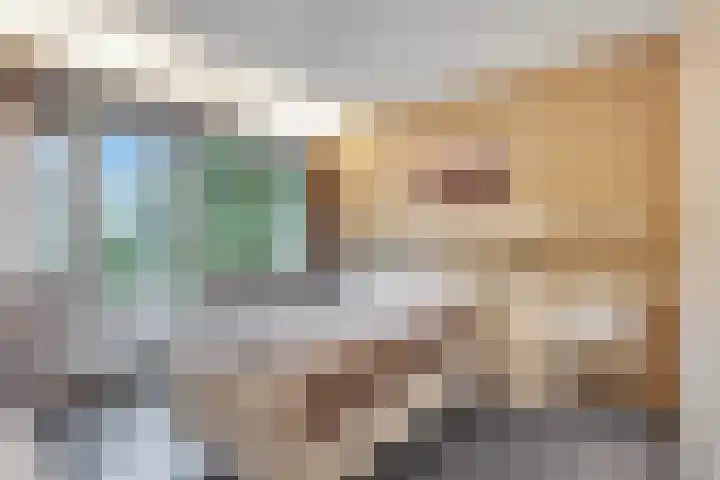 Johannes Wierlaan 74 Den Dolder thumbnail 16