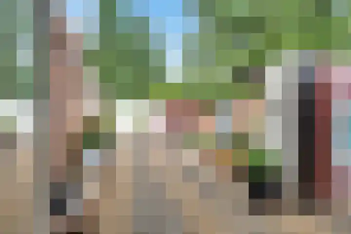 Johannes Wierlaan 74 Den Dolder thumbnail 24