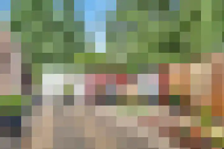 Johannes Wierlaan 74 Den Dolder thumbnail 25