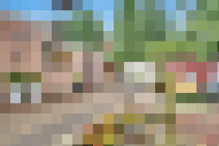 Johannes Wierlaan 74 Den Dolder thumbnail 26