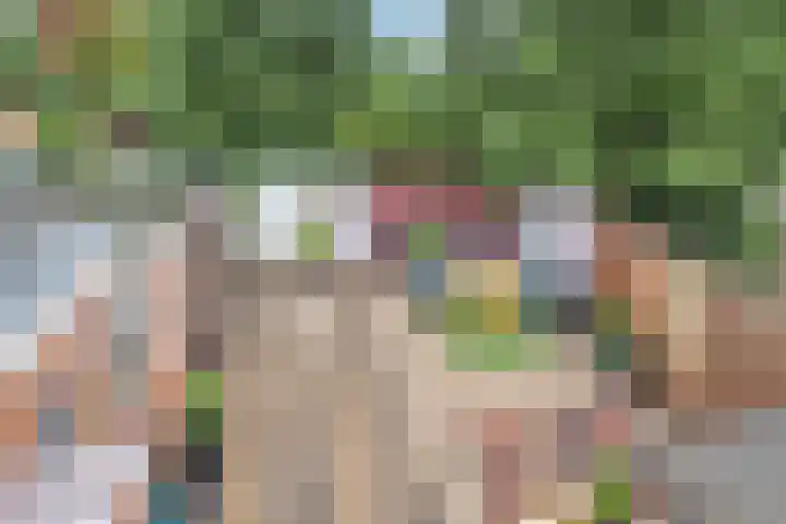 Johannes Wierlaan 74 Den Dolder thumbnail 30