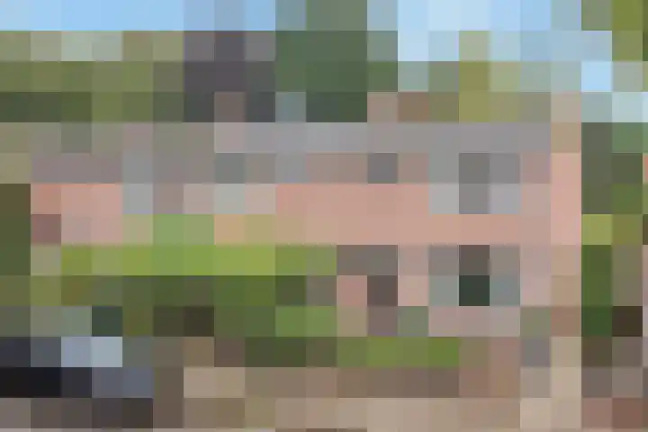 Johannes Wierlaan 74 Den Dolder thumbnail 32
