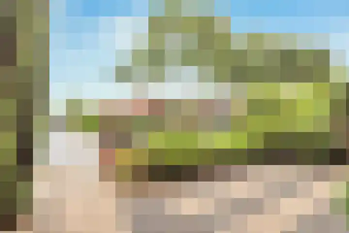 Johannes Wierlaan 74 Den Dolder thumbnail 33