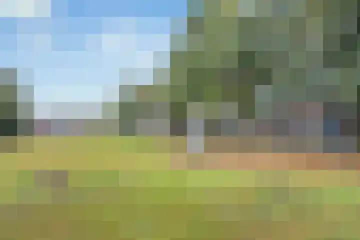 Johannes Wierlaan 74 Den Dolder thumbnail 35