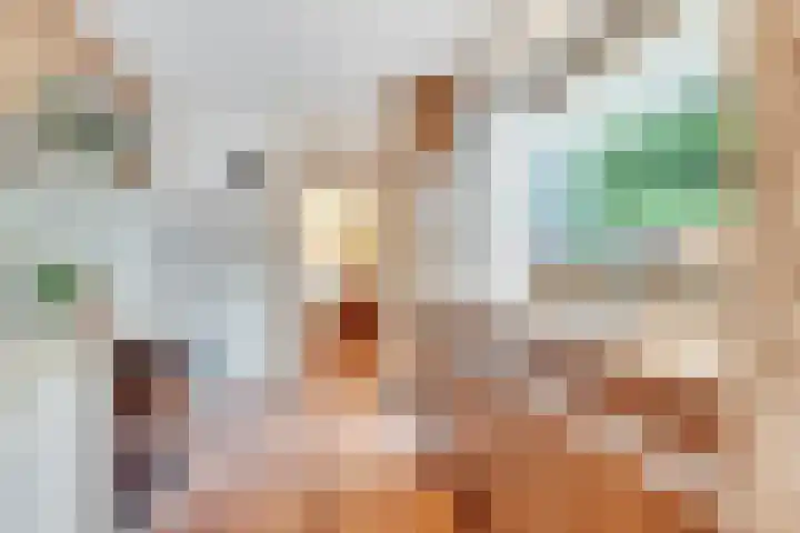 Johannes Wierlaan 74 Den Dolder thumbnail 9