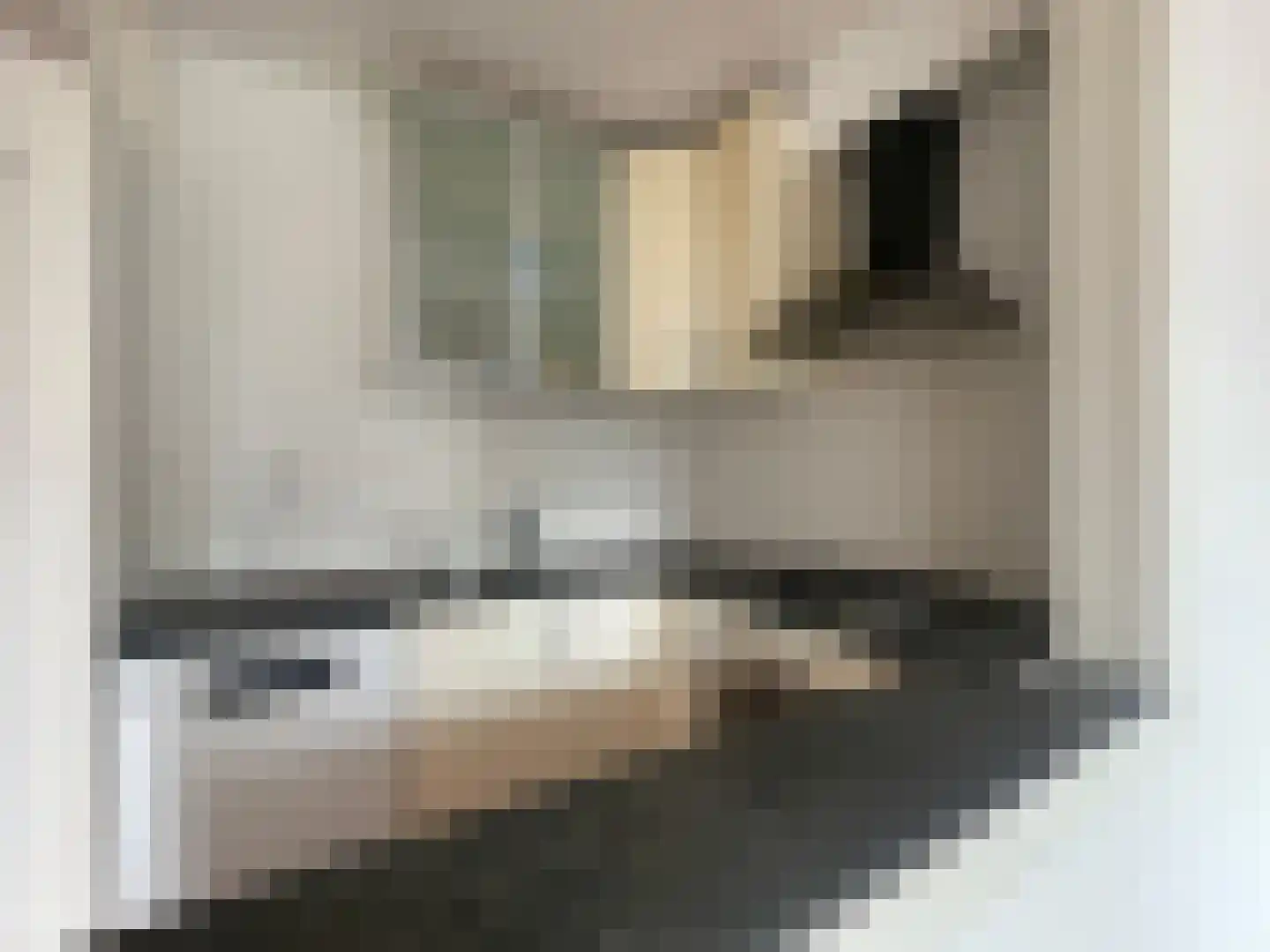 Johannes Worpstraat 21 1 Amsterdam thumbnail 4
