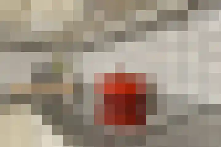 Johannes Worpstraat 9 3 Amsterdam thumbnail 15
