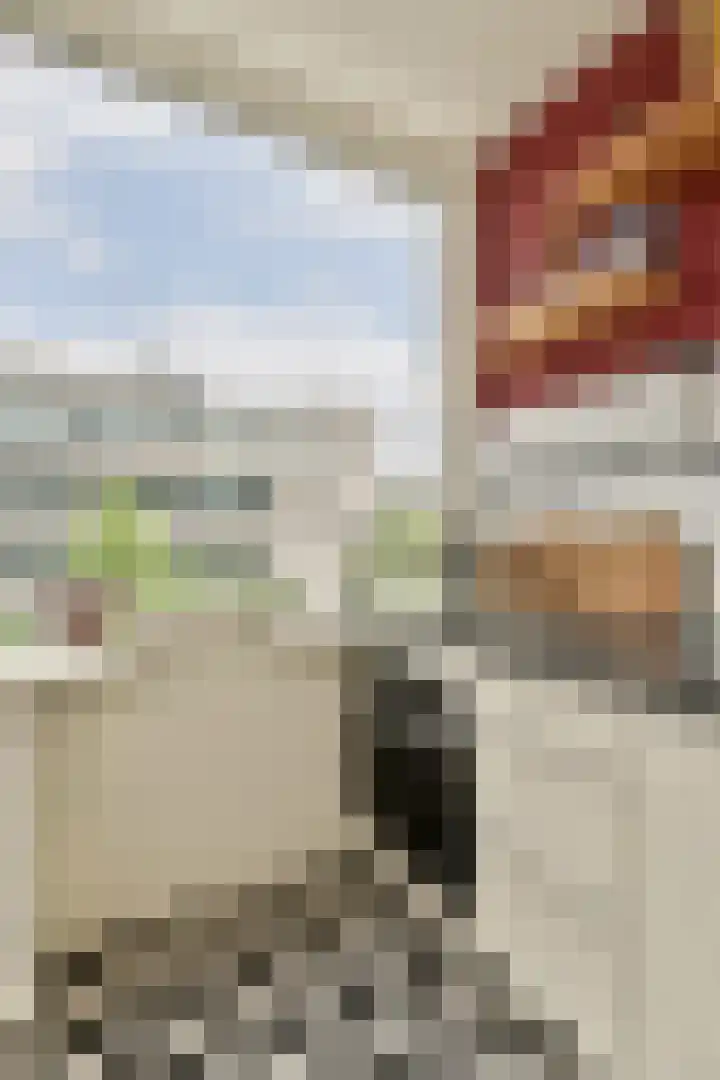 Johannes Worpstraat 9 3 Amsterdam thumbnail 17