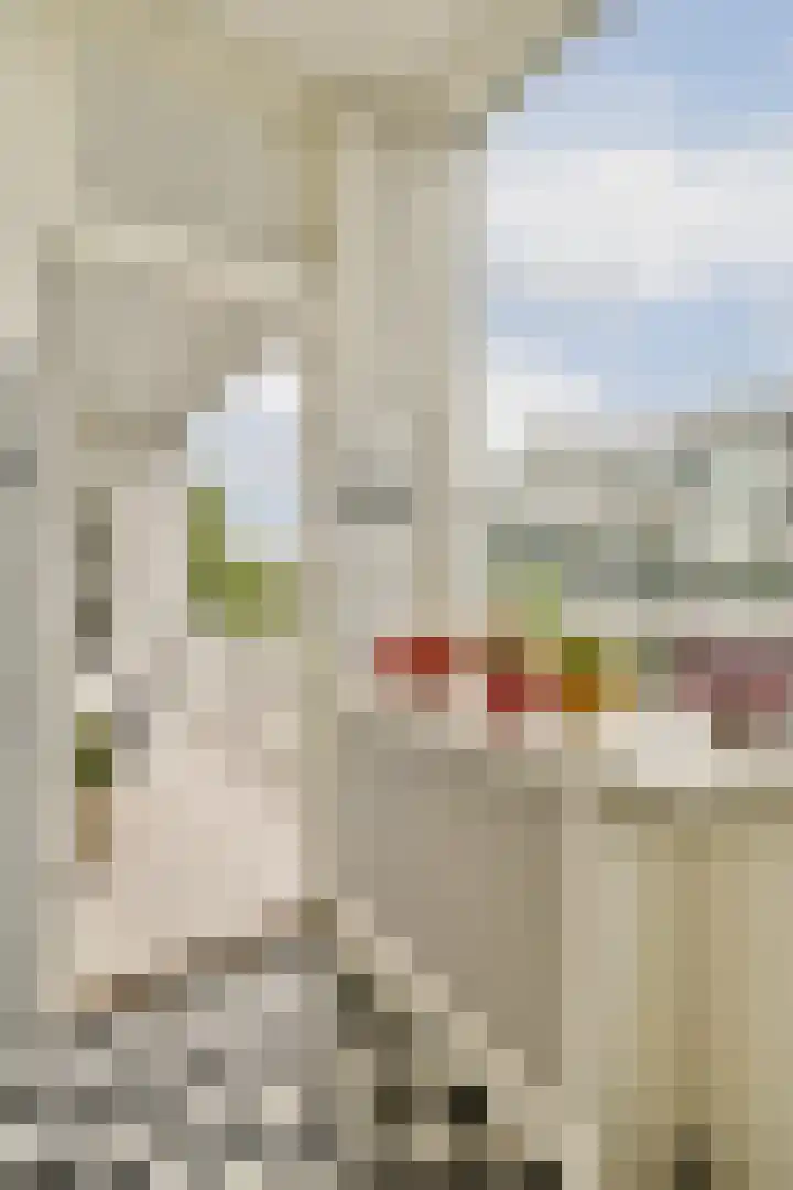 Johannes Worpstraat 9 3 Amsterdam thumbnail 18
