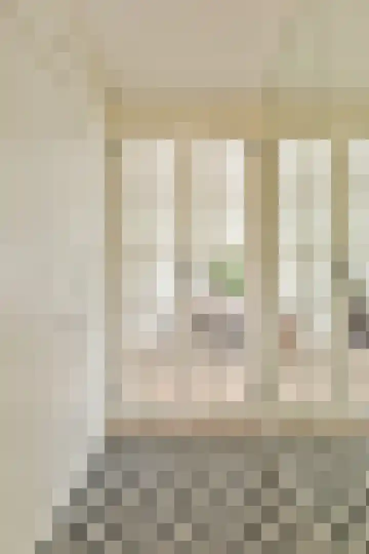 Johannes Worpstraat 9 3 Amsterdam thumbnail 7