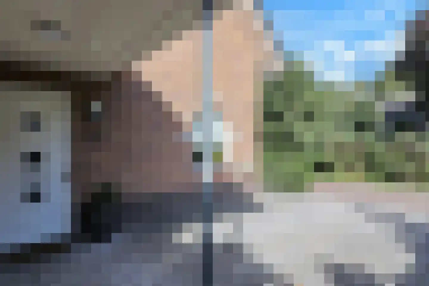 Johanneshoeve 13 Hooglanderveen thumbnail 10
