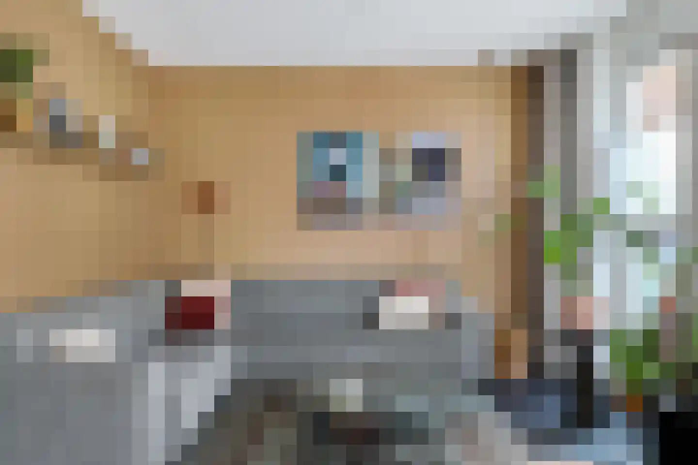 Johanneshoeve 13 Hooglanderveen thumbnail 12